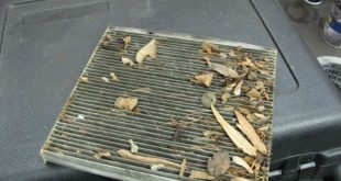 Забыл поменять салонный фильтр в автомобиле: последствия