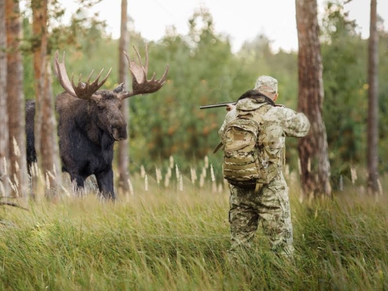 Топ-8 лучших мест для охоты в России.