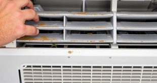 Осмотр испарителя кондиционера: плесень и запах