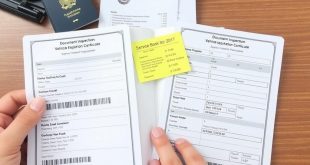 Осмотр документов: ПТС, СТС, сервисная книжка — как не попасть в просак при покупке автомобиля